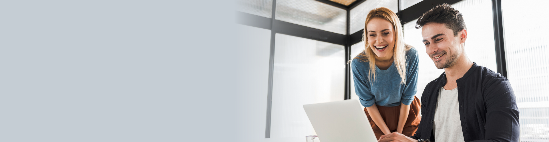 CPPA BannerCPA Professional <br>Program
